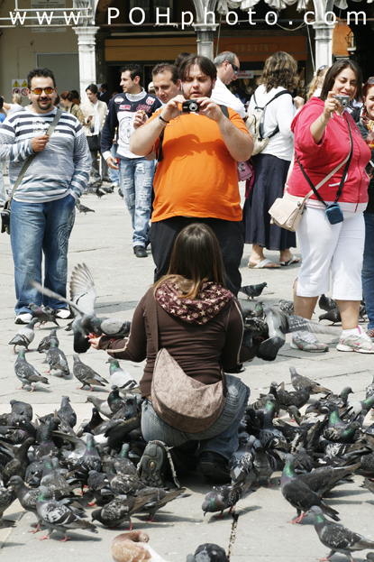 Photo of Venice