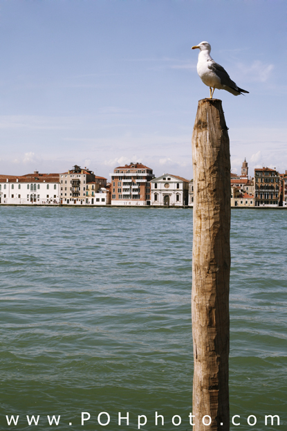 Photo of Venice