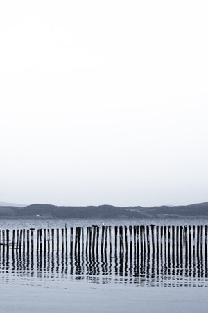 Photo of 