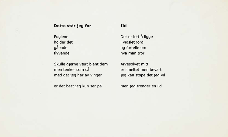 Photo of Dette stÃ¥r jeg for / Ild