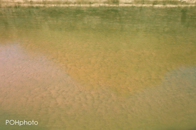 Photo of Colorado river