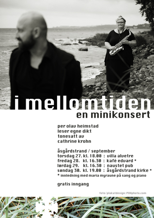 Photo of Poster for my 2012 tour in Åsgårdstrand